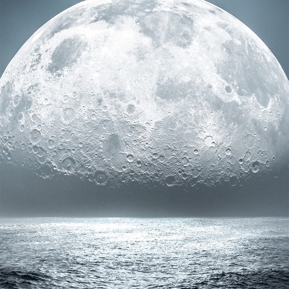 Meet your Posher, Lilia - Picture 1 of 1